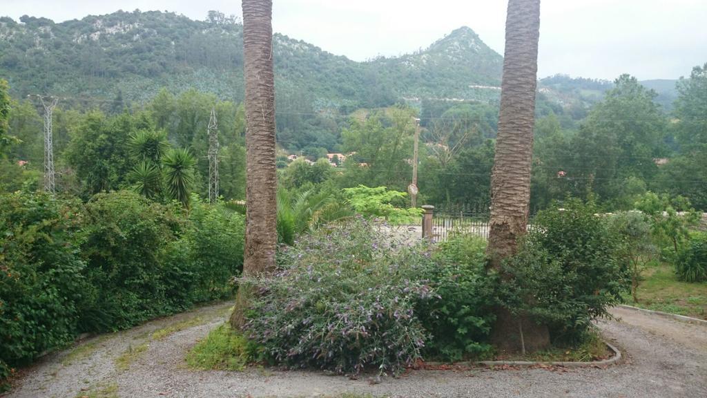 B&B El Jardin De Aes Puente Viesgo Εξωτερικό φωτογραφία
