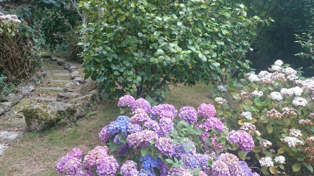 B&B El Jardin De Aes Puente Viesgo Εξωτερικό φωτογραφία