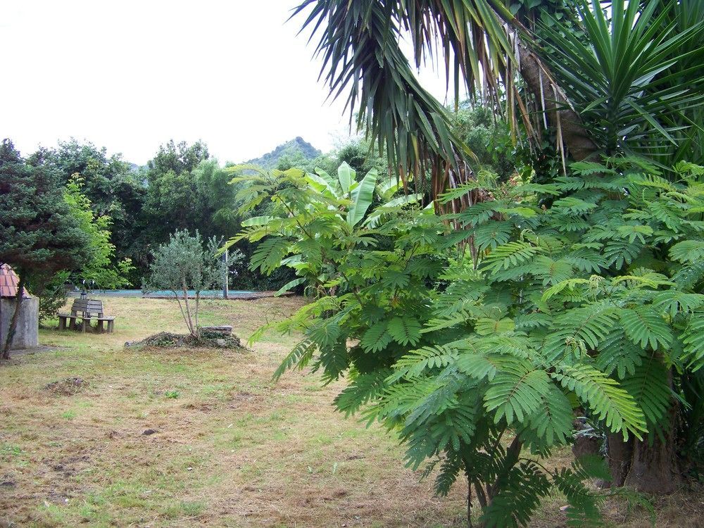 B&B El Jardin De Aes Puente Viesgo Εξωτερικό φωτογραφία